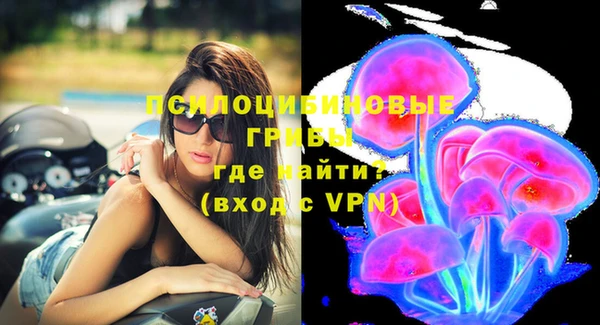 молекула духа Алзамай
