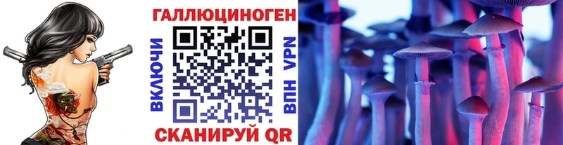 Галлюциногенные грибы Psilocybine cubensis  Рошаль 